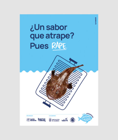 Cartel Plancha de la campaña Pide Almería realizada por Humad